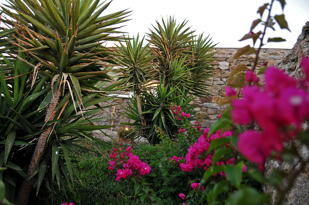 Luxury Villa villa in mikonos sea sun and ammazing holiday